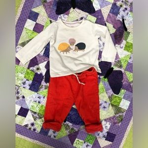 Baby Boden hedgehog outfit